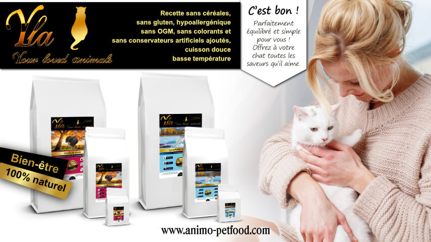 croquettes sans cereales ni gluten pour chat